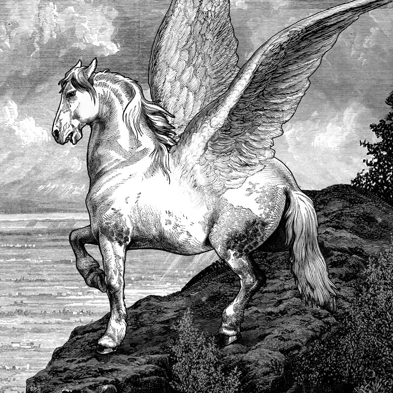 Pegasus by Stephen Barnwell
