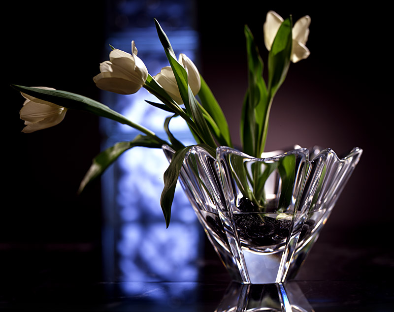 Stephen Barnwell photography
